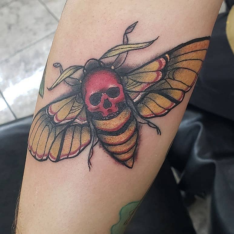 Crimson Death’s-Head Moth