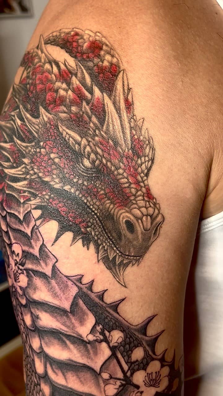 Crimson-Scale Dragon Head
