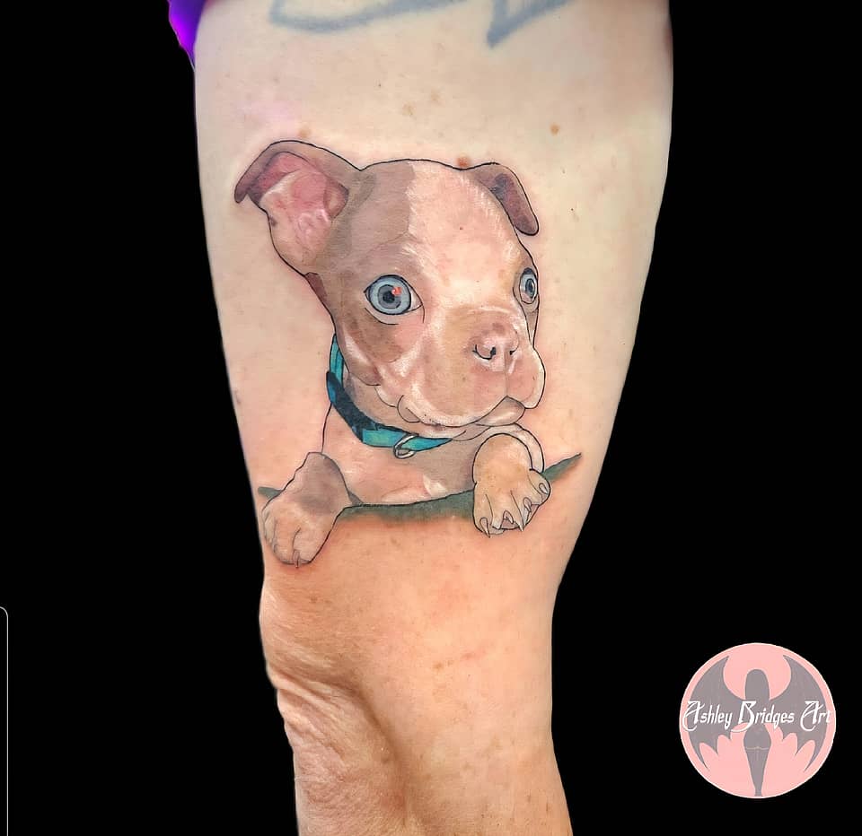 Curious Puppy Portrait