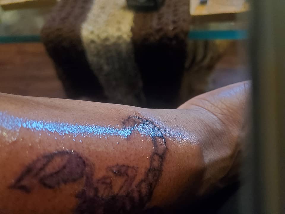 Scorpion