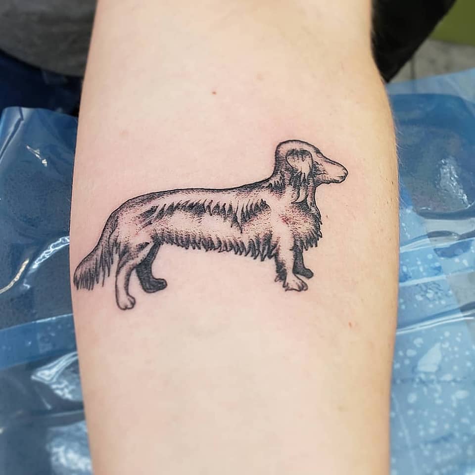 Dachshund Profile in Dotwork