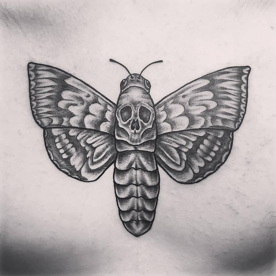 Death's-Head Hawkmoth Memento Mori