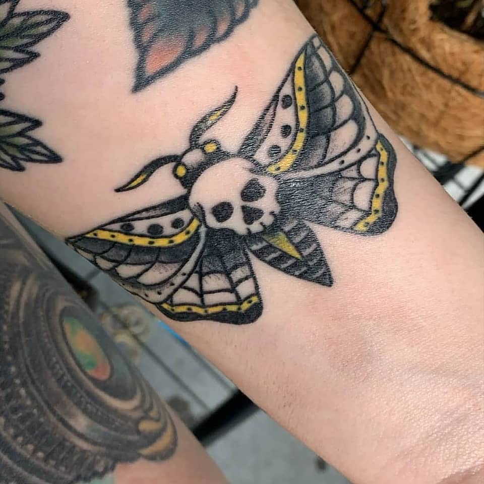 Death’s-Head Moth with Skull