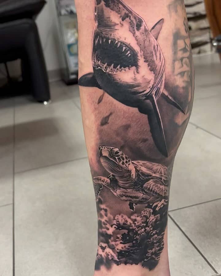 Deep Encounter: Shark and Sea Turtle