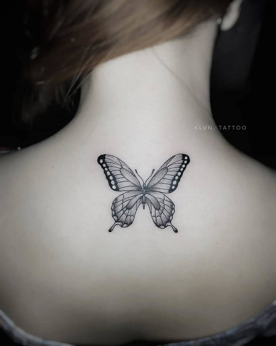 Delicate Black-and-Grey Butterfly