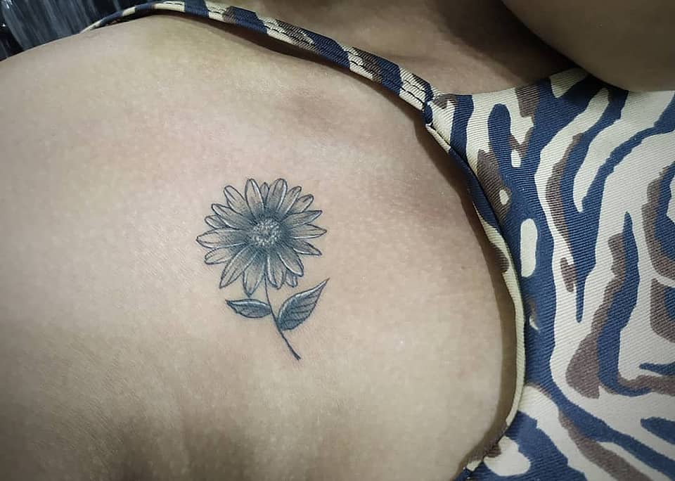 Delicate Daisy Bloom