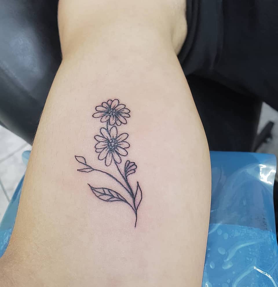 Delicate Daisy Sprig