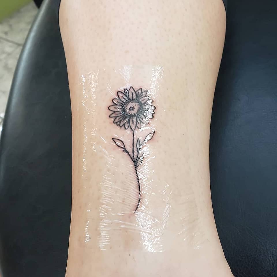 Delicate Daisy Sprout
