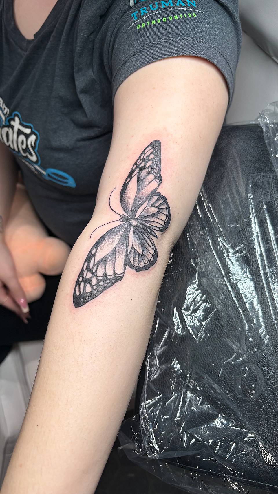 Delicate Monarch Butterfly
