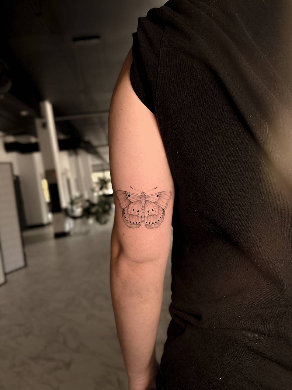 Delicate Moth Line Tattoo