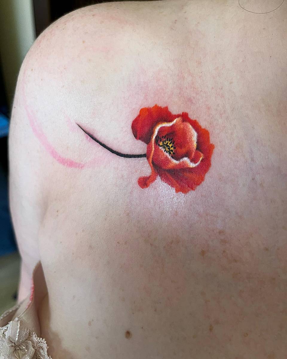 Delicate Red Poppy