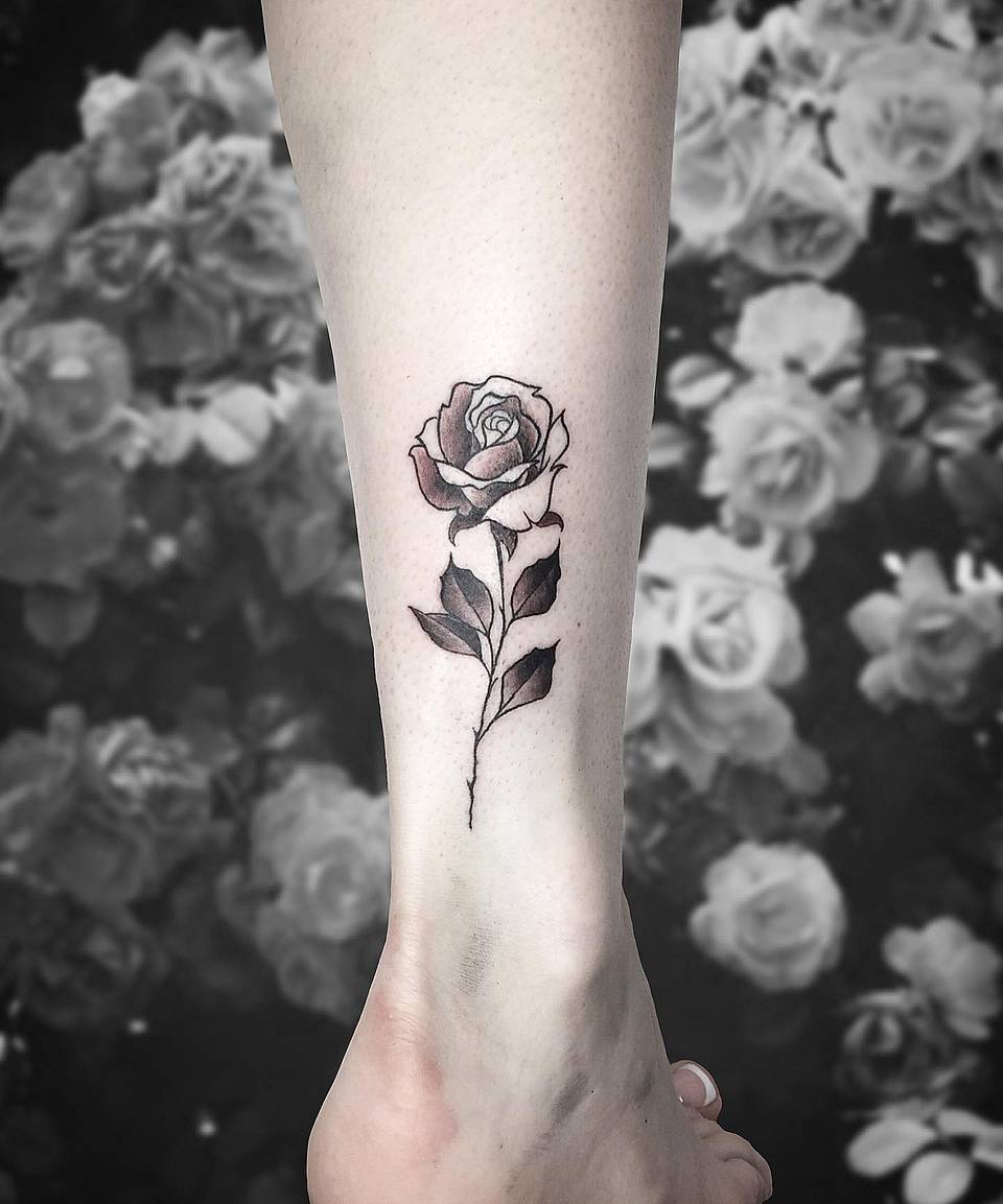 Delicate Single Rose