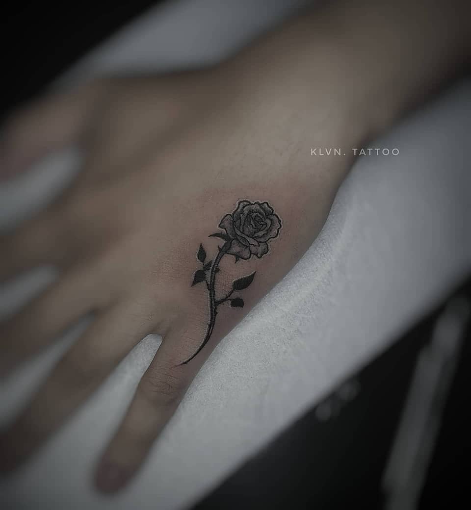 Delicate Single Rose