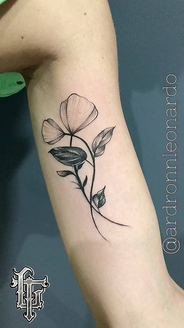 Delicate Single-Stem Wildflower
