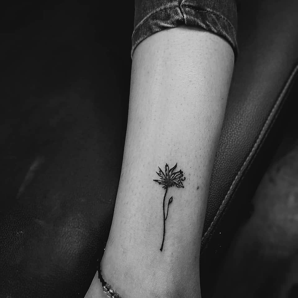 Delicate Wildflower Sprout