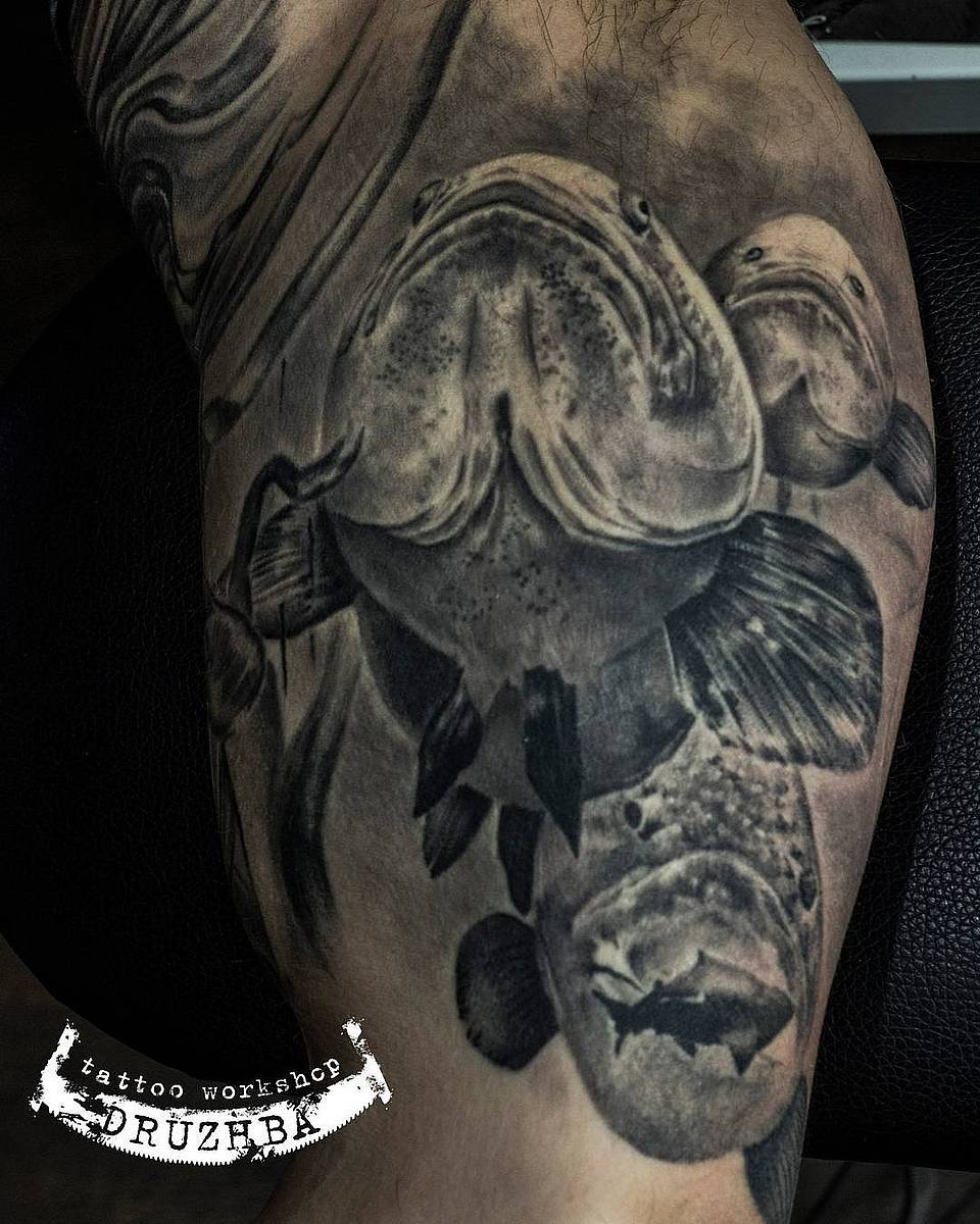 Depth Dwellers: Black and Grey Grouper Trio