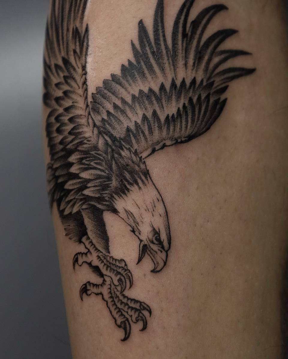 Diving Eagle with Extended Talons