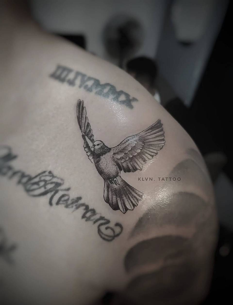 Dove in Flight