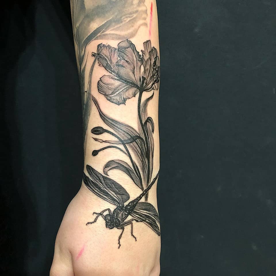 Dragonfly and Tulip