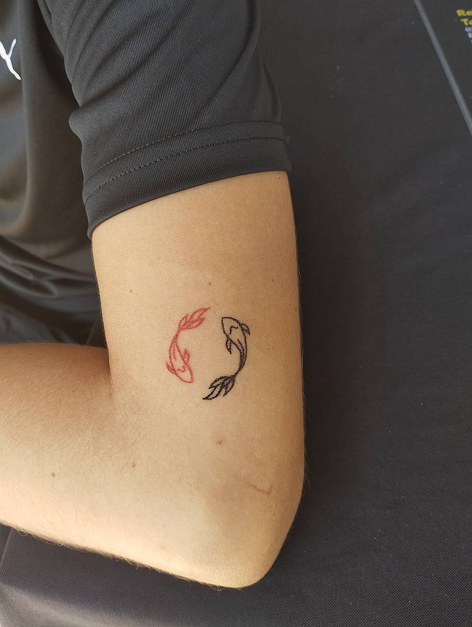 Dual Koi Yin-Yang