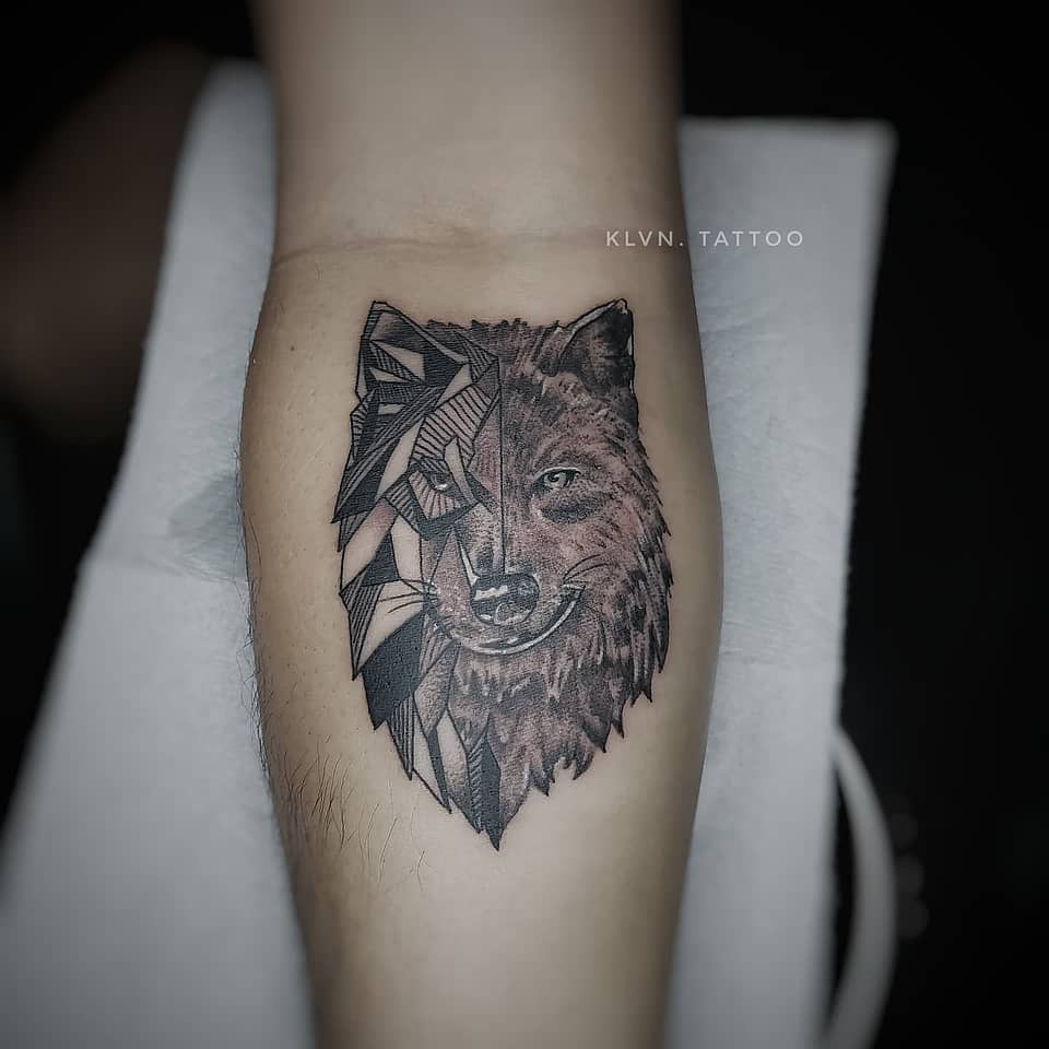 Duality Wolf: Geometric & Realistic