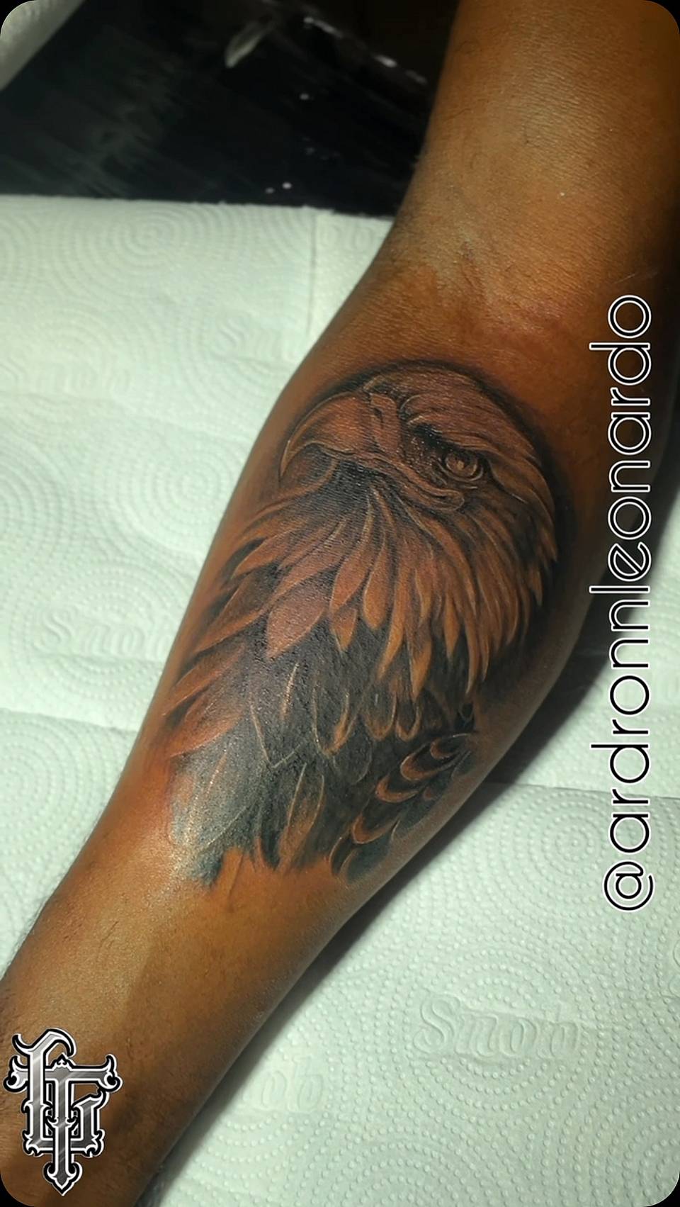 Eagle Head Realism