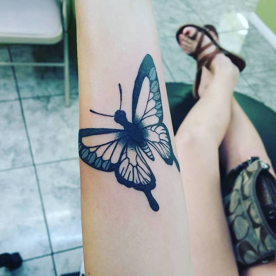 Eclipsed Butterfly