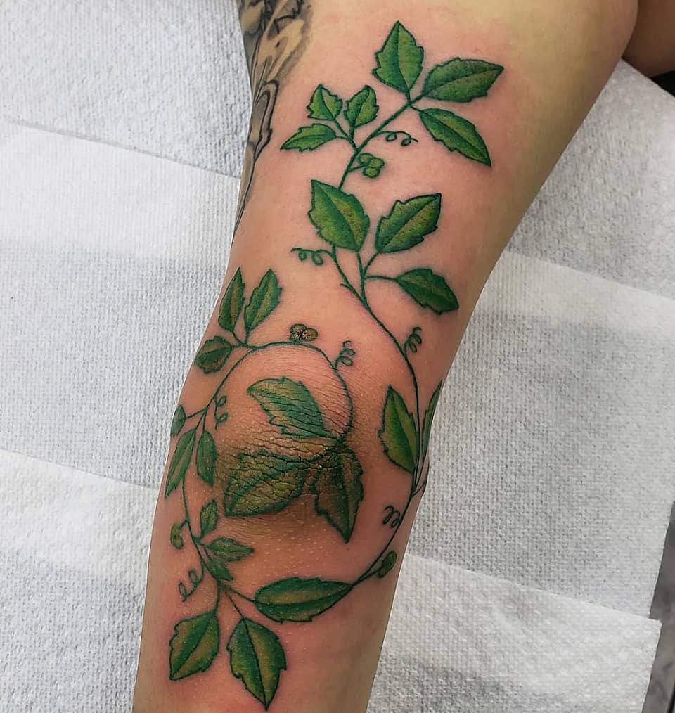 Emerald Climbing Vine