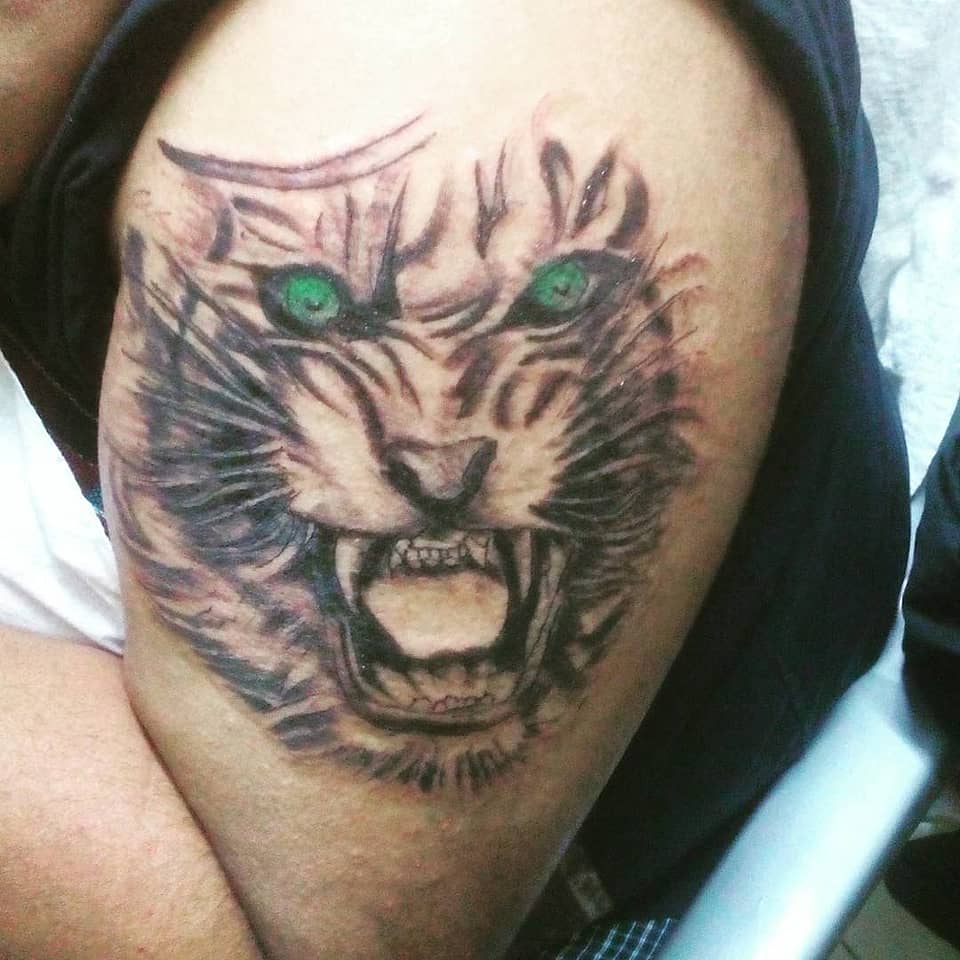 Emerald-Eyed Roaring Tiger