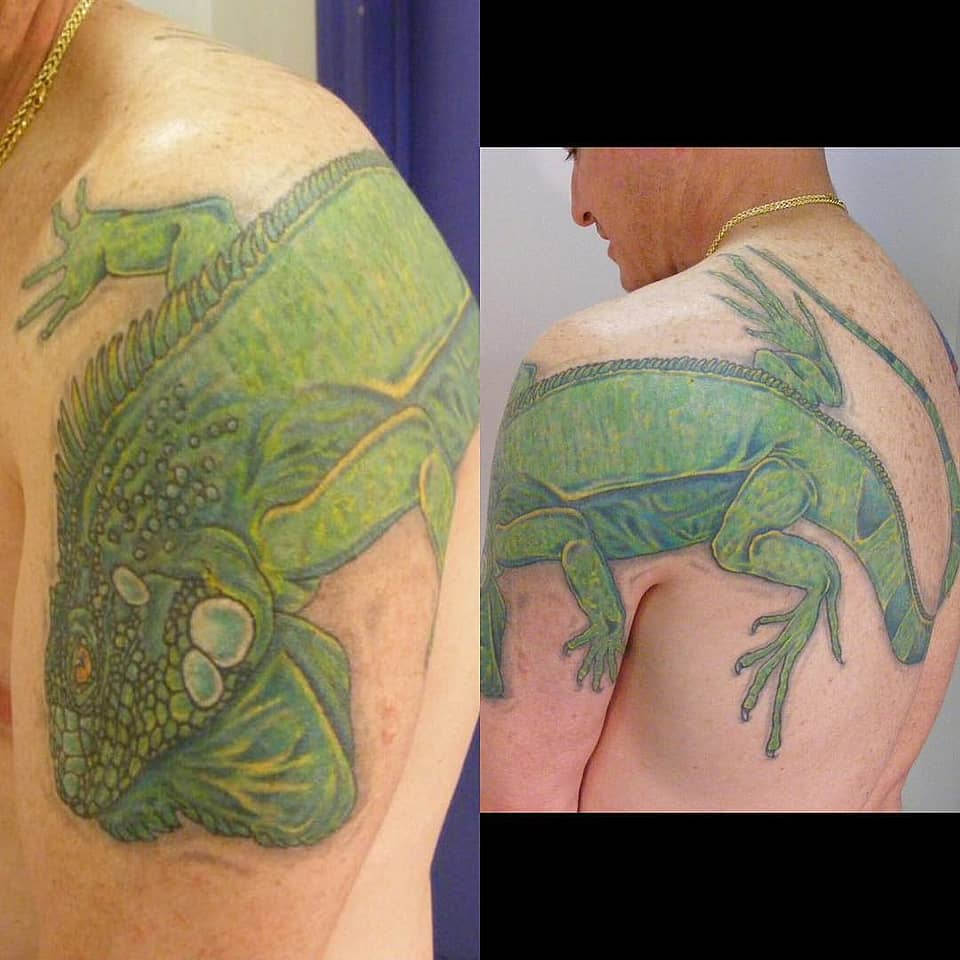 Emerald Iguana Shoulder Wrap