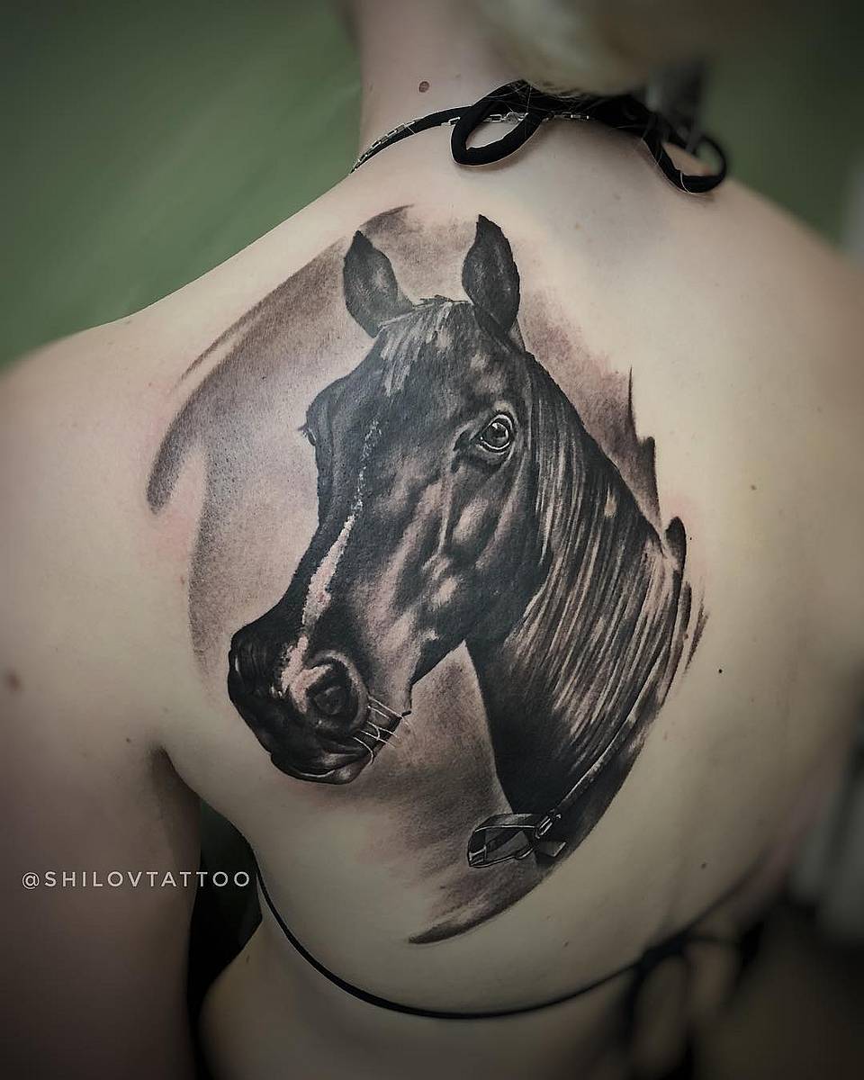 Equine Grace: Black & Grey Horse Portrait
