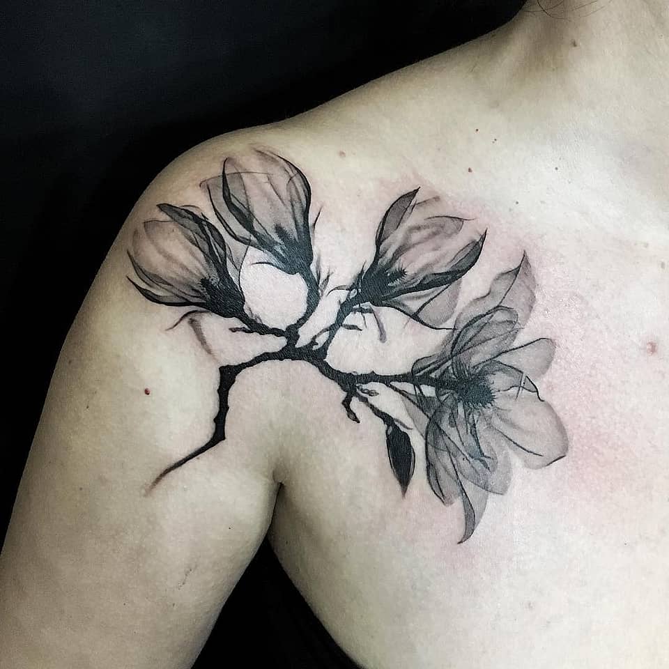 Ethereal Magnolia Branch