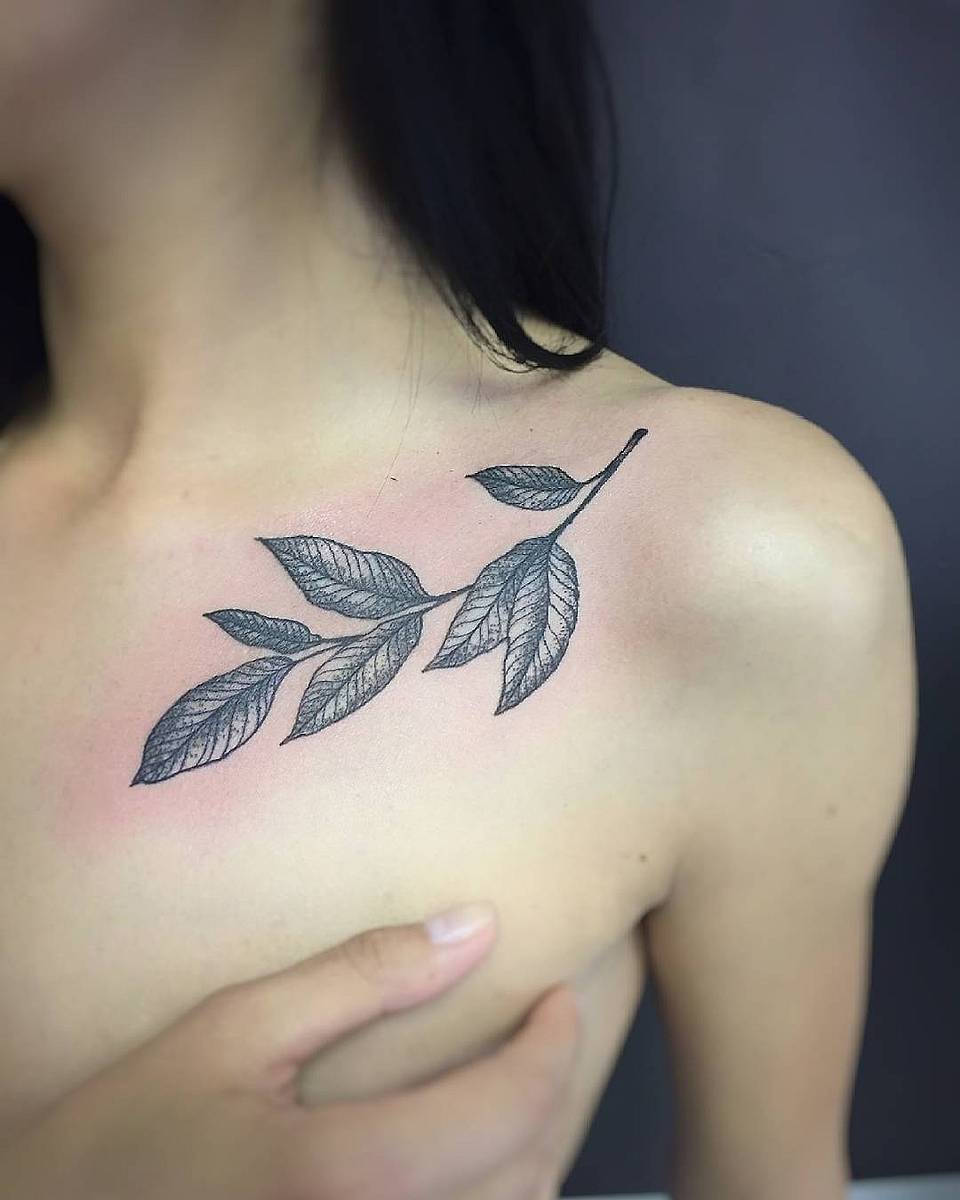 Evergreen Collarbone Sprig