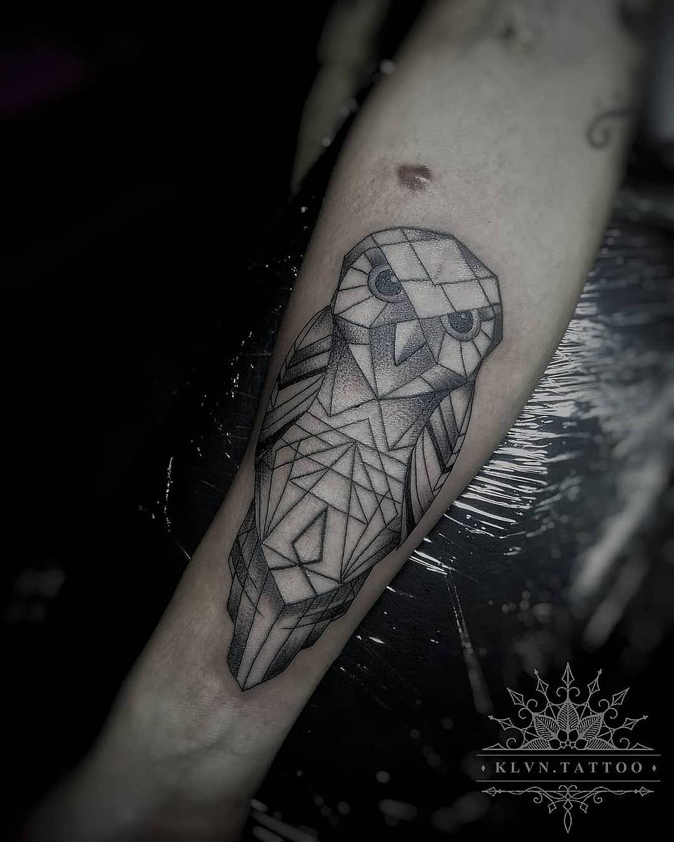 Faceted Owl