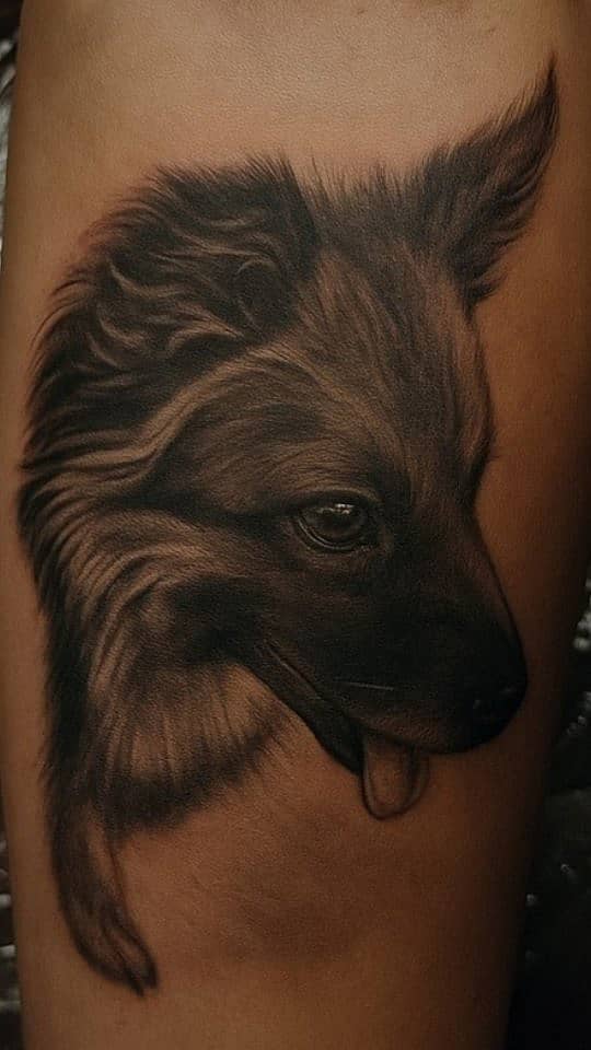 Faithful Friend Realism Dog Portrait