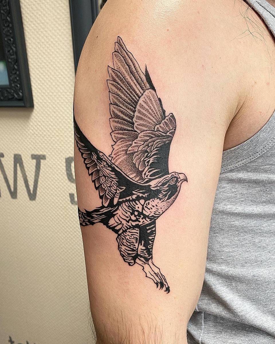Falcon in Flight