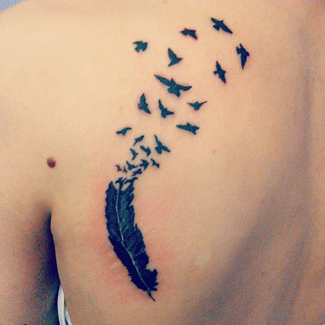 Feather into Flight