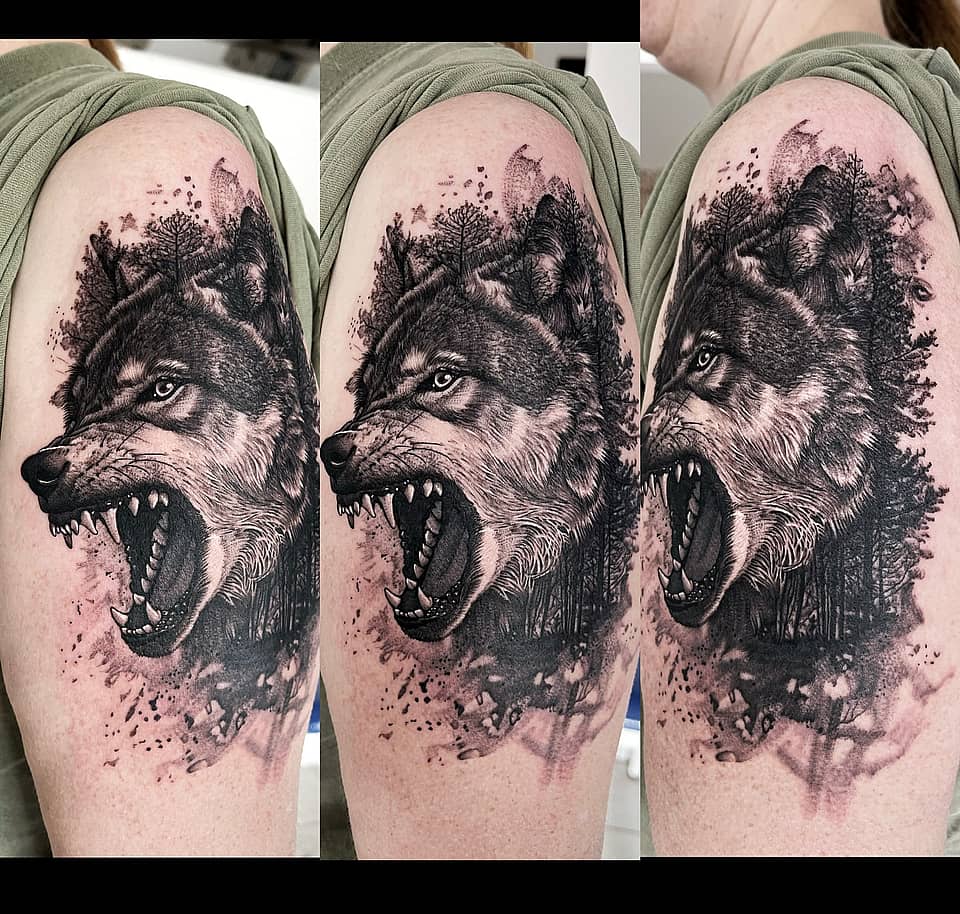 Feral Wolf with Forest Backdrop