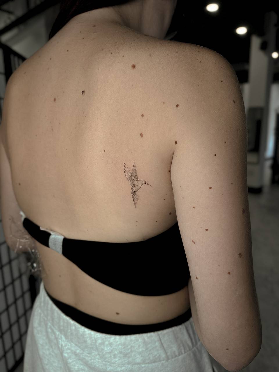 Fine-Line Hummingbird