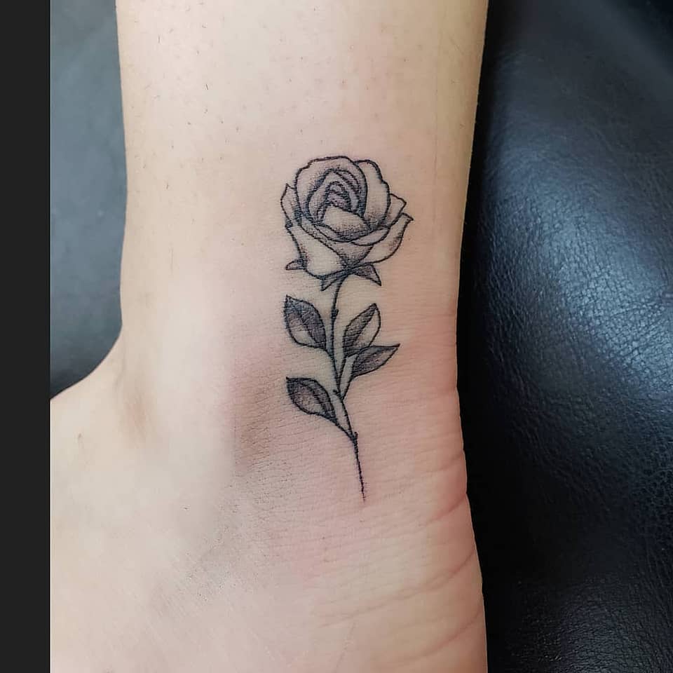 Fine Line Rose Bloom