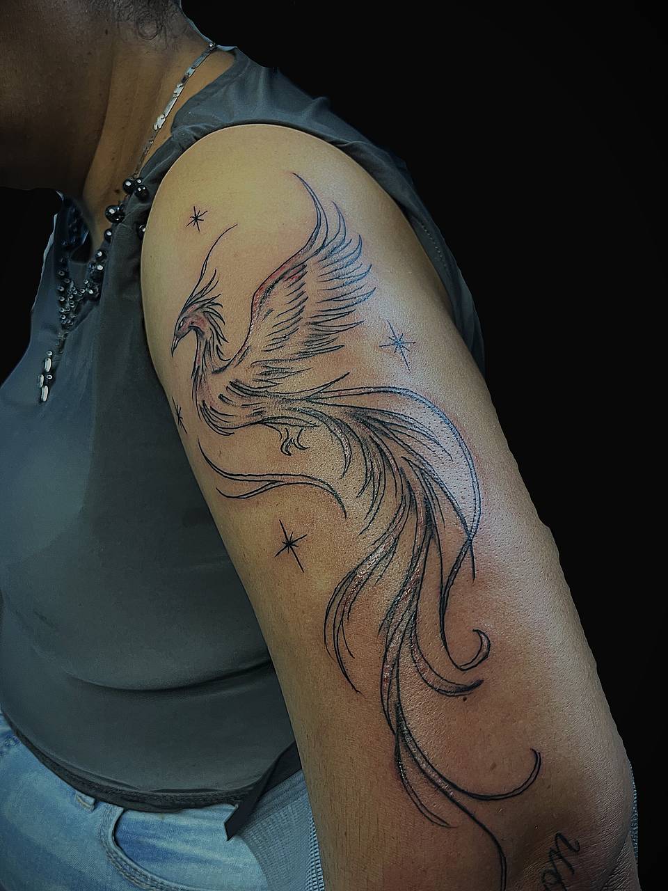 Flowing Phoenix Outline