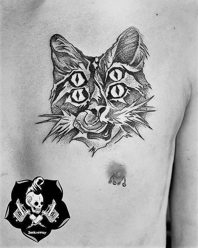 Four-Eyed Cat with Rose