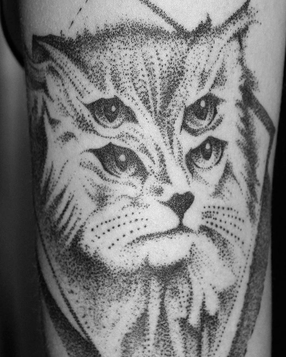 Four-Eyed Dotwork Cat