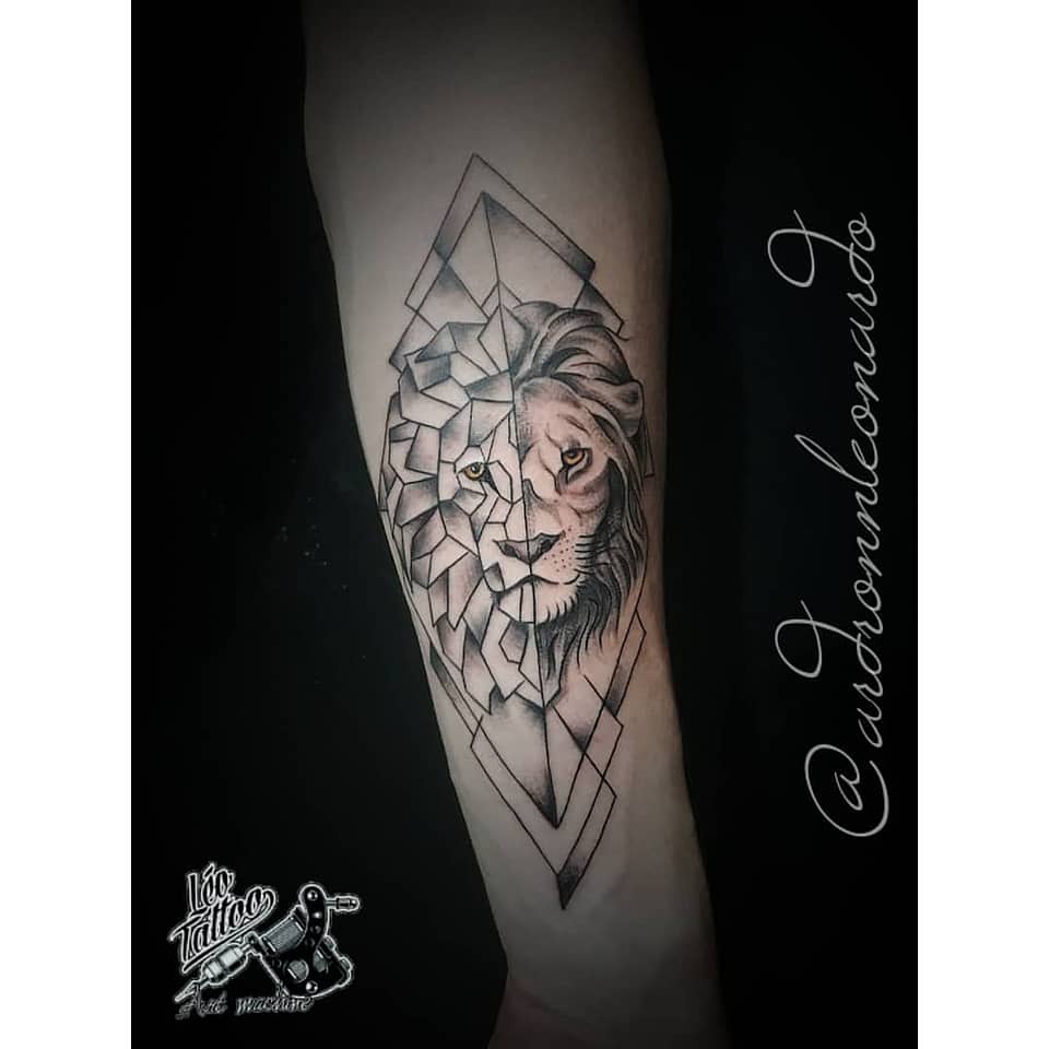 Fragmented Lion Portrait