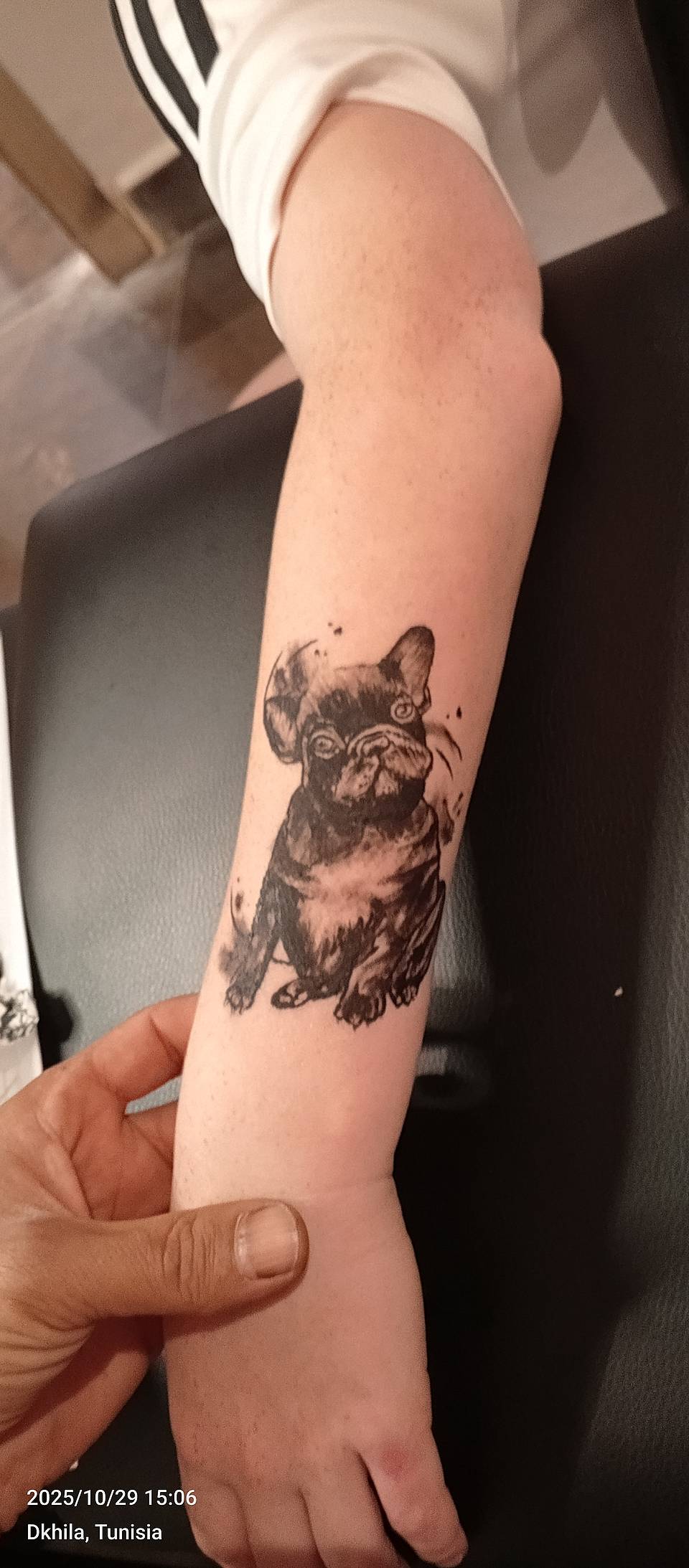 Frenchie Ink Splash Portrait