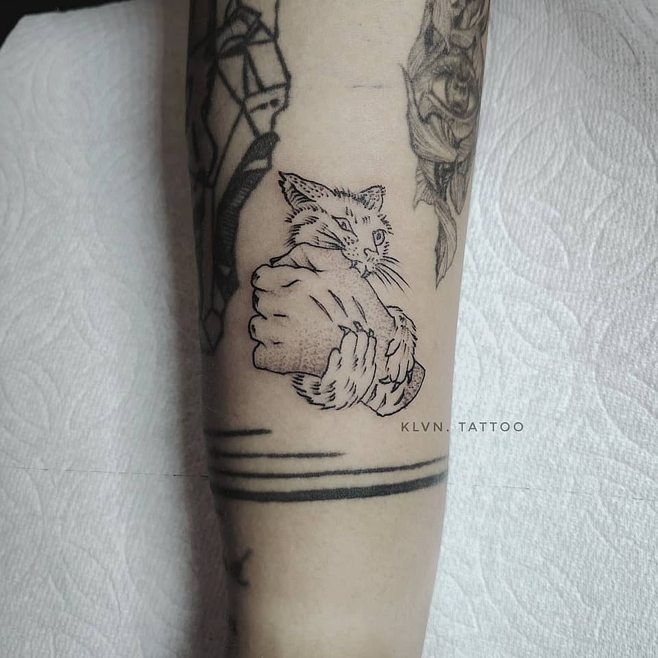 Gentle Grip Cat