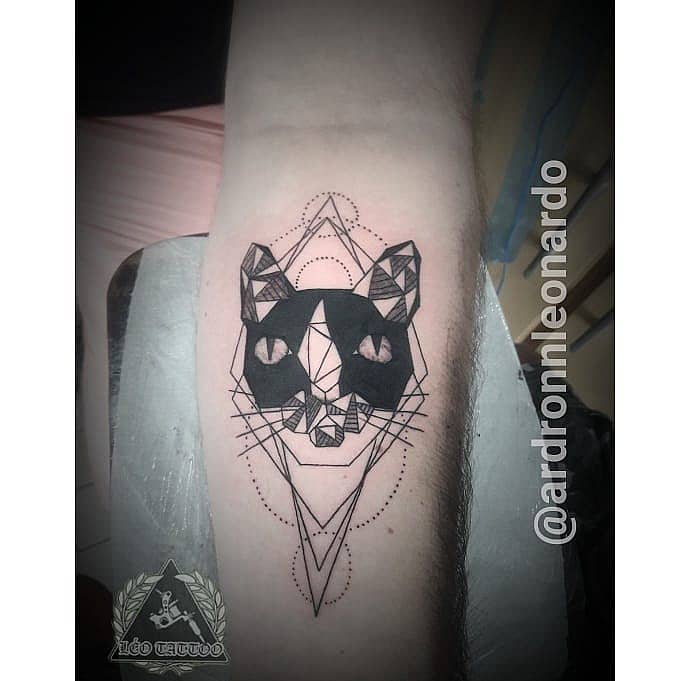 Geometric Cat Mask