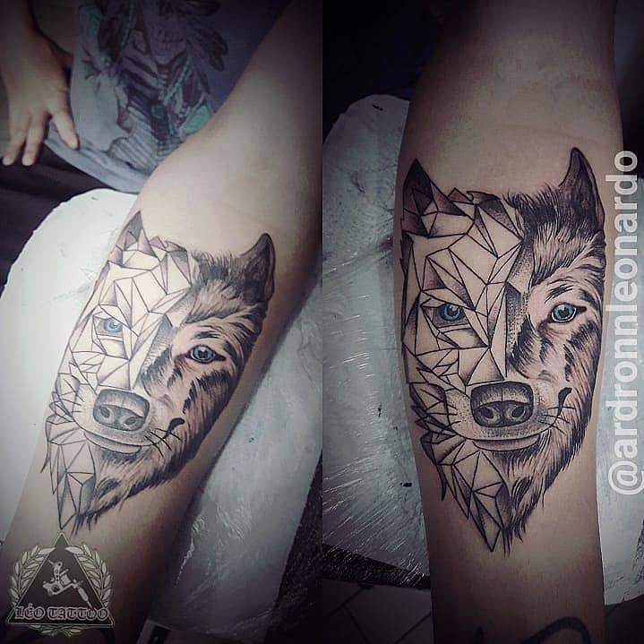 Geometric Half-Wolf Portrait