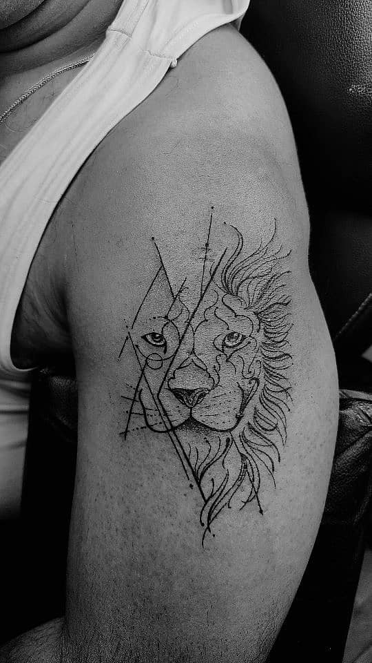 Geometric Split Lion
