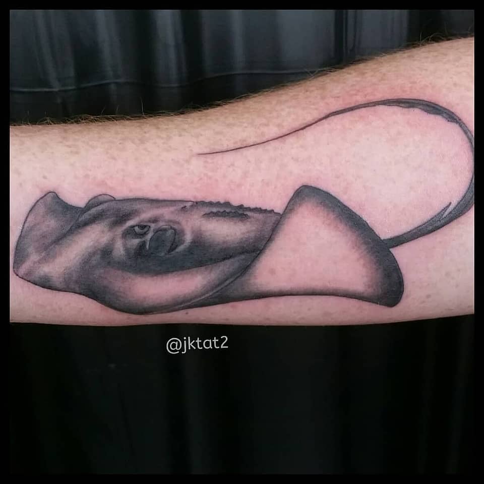 Gliding Stingray